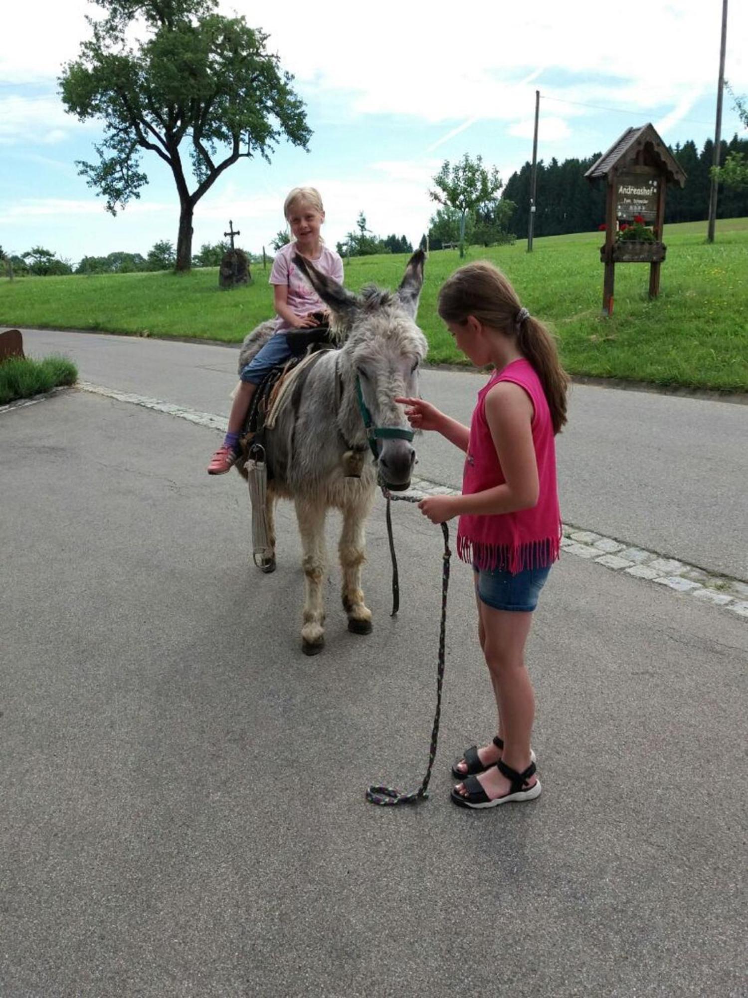 Andreashof Villa Heimenkirch ภายนอก รูปภาพ