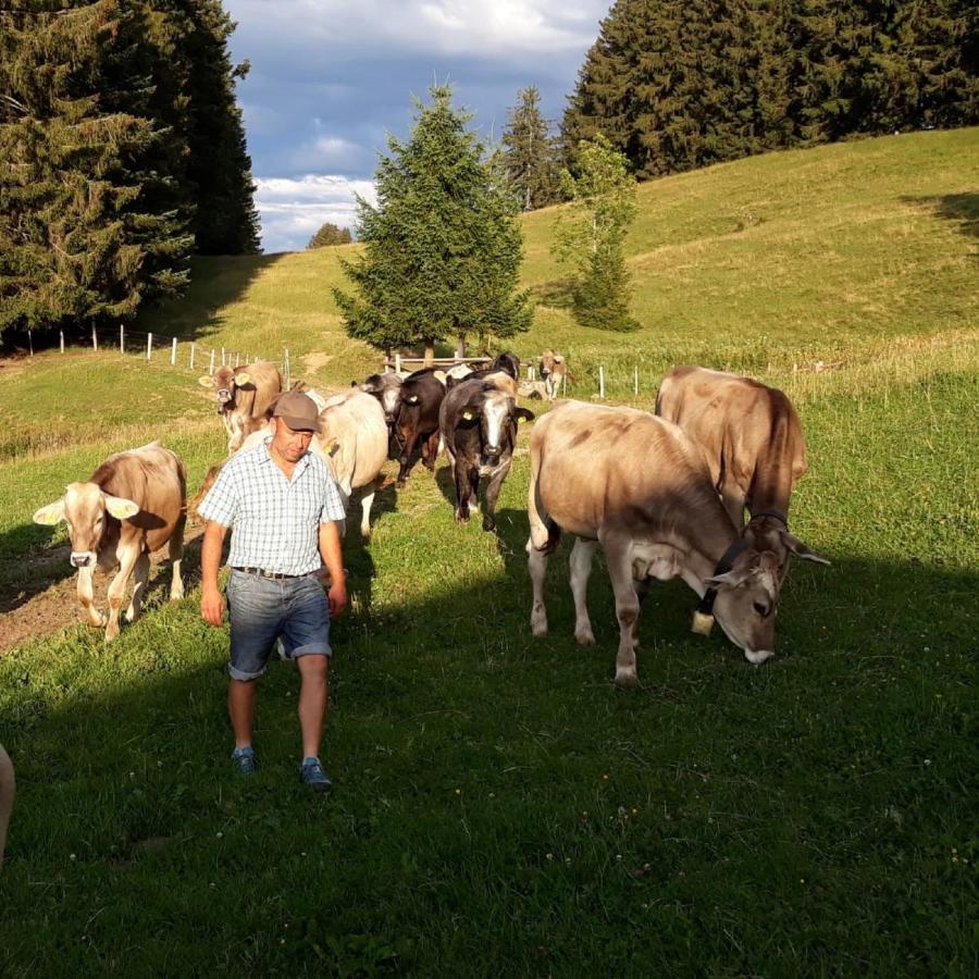 Andreashof Villa Heimenkirch ภายนอก รูปภาพ